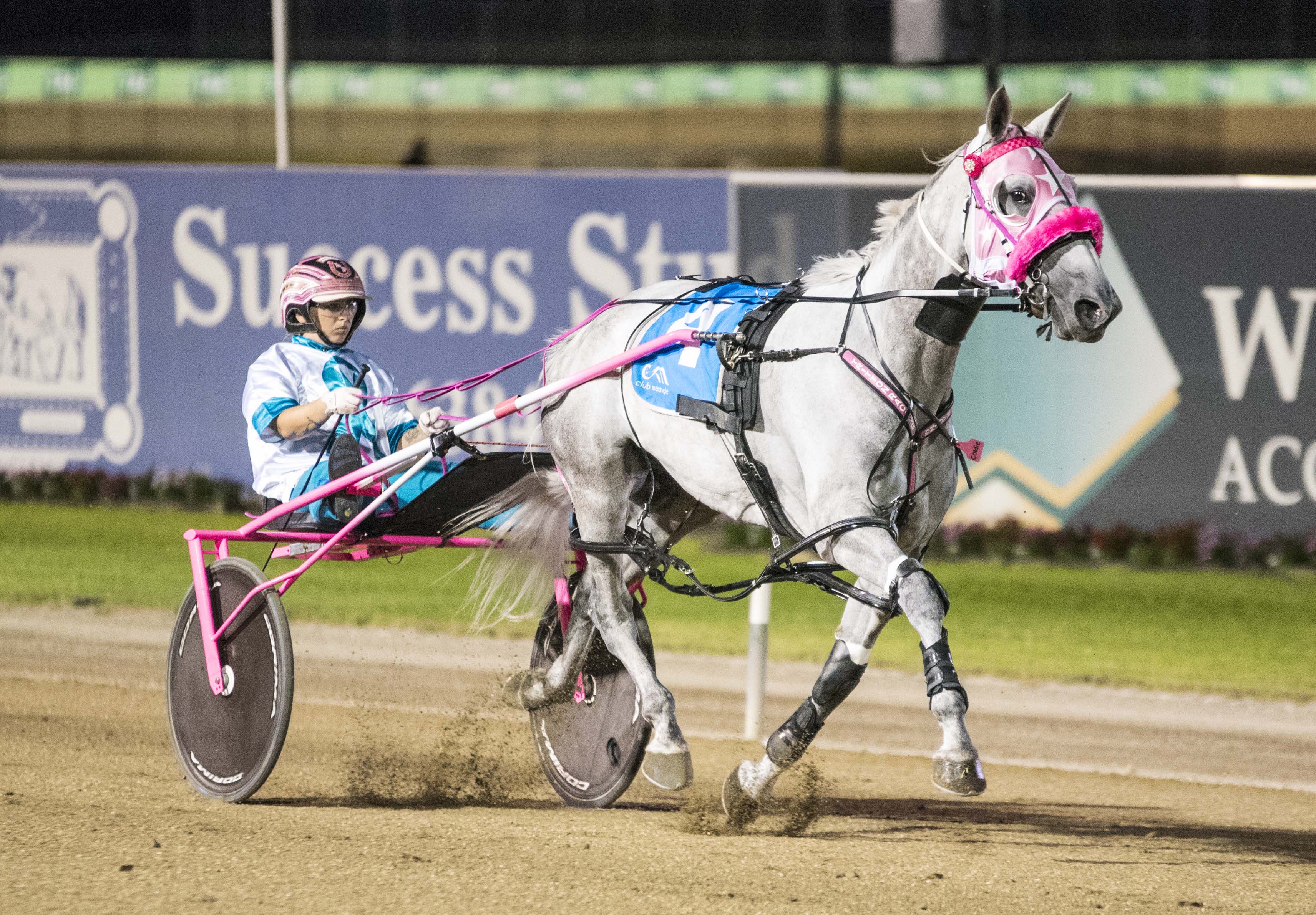 Harness Racing New South Wales thanks owners and trainers